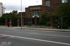 guinness02.jpg