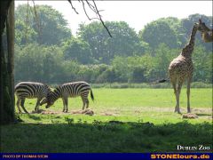 012 DublinZoo