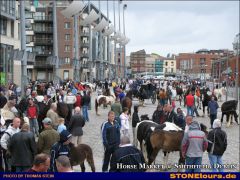 035 HorseMarket